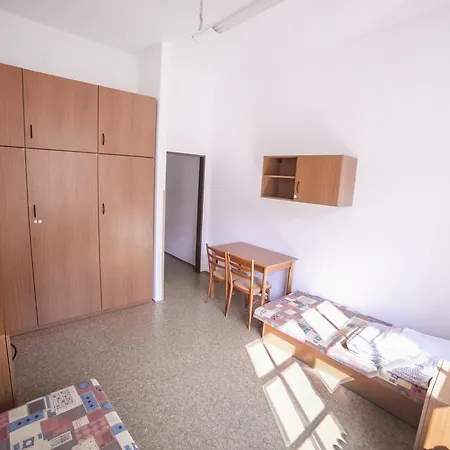 Albergue Dizzy Daisy *